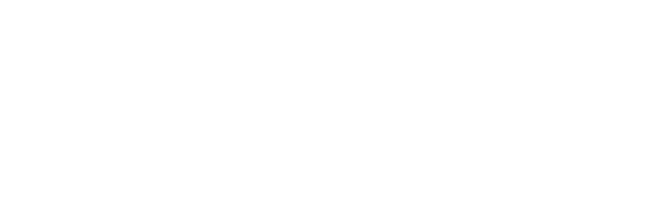 Logo 17 1