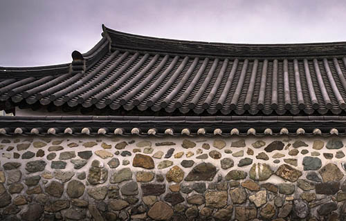 Vegetative Roof 1